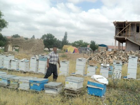 Yozgat’ta Bal Üretimi Yaygınlaşıyor
