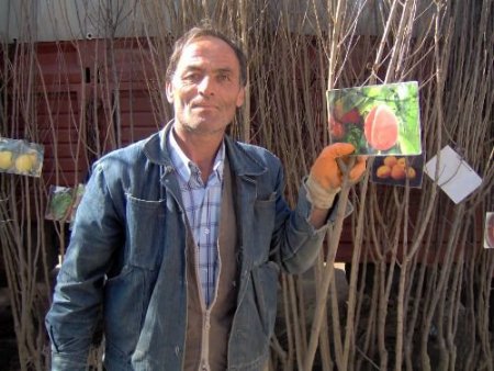 Yozgat'ta Fidan Satışı Başladı
