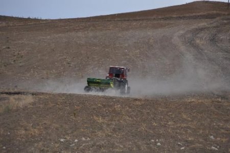 Yozgat'ta Hububat Ekimi Başladı