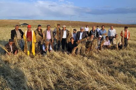 Yozgat'ta Hububatı Dolu Vurdu