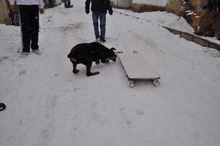 Yozgat’ta Karın Keyfini Çocuklar Kızakla Kayarak Çıkardı