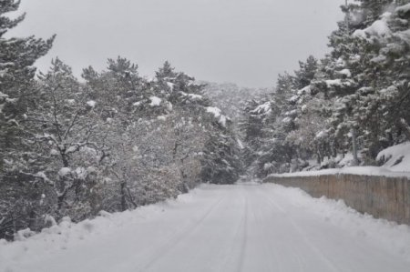 Yozgat’ta Karın Keyfini Çocuklar Kızakla Kayarak Çıkardı