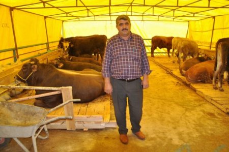 Yozgat’ta kurban pazarı kuruldu