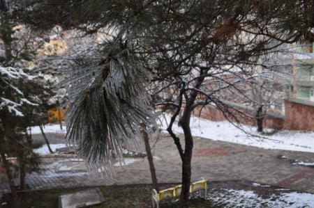 Yozgat’ta soğuk hava ağaç dallarında buz saçakları oluşturdu