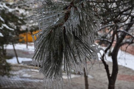 Yozgat’ta soğuk hava ağaç dallarında buz saçakları oluşturdu