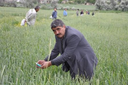Yozgat'ta Yağan Yağmur Çiftçinin Yüzünü Güldürdü