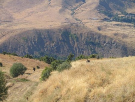 Yük Treninin Geçişi Sırasındaki Patlama Ardından Operasyon Başlatıldı