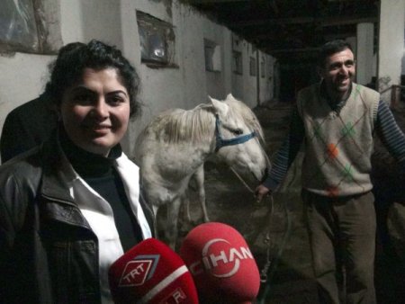 Yüksek ot fiyatları, atları dışarıda bıraktı, Kaymakam seferber oldu