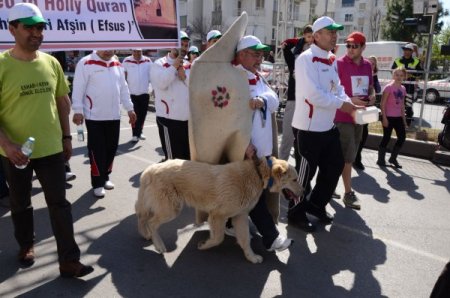 Yüksek topuklu ayakkabılarla koştular