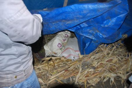 Yüksekova’da uyuşturucu operasyonu