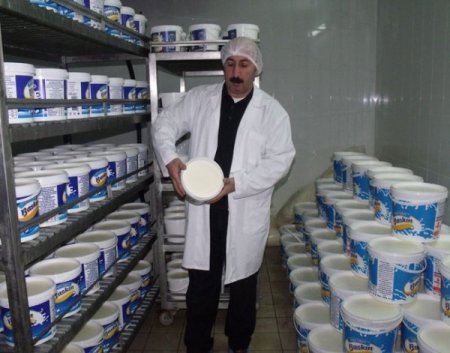 Yüksekova’nın Tek Süt Fabrikası 2010’da İhracat Rekoru Kırdı