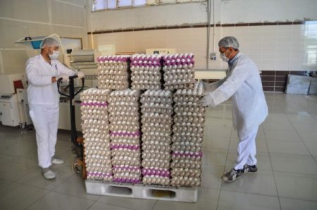 Yumurta üreticileri: Fiyatlar birkaç hafta içerisinde normale dönebilir