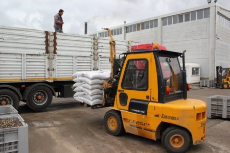 Yunanistan Burhaniye'nin zeytin çekirdekleriyle ısınacak