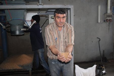 Yunanistan Burhaniye'nin zeytin çekirdekleriyle ısınacak