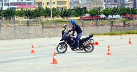 Yunus timlerinin sayısı arttı