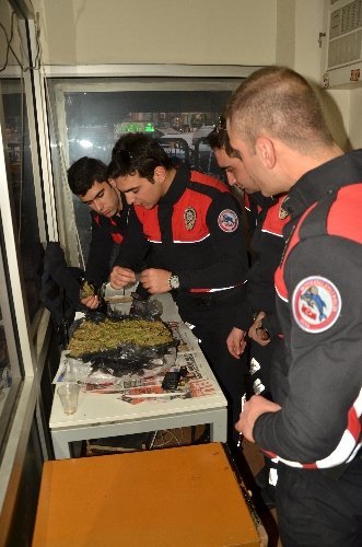 Yunuslar, zehir tacirlerine geçit vermedi (Özel)