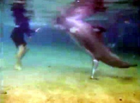 Yunusun doğum anı böyle görüntülendi