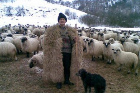 Yüz yaşına merdiven dayadı, çobanlıktan ayrı kalamadı