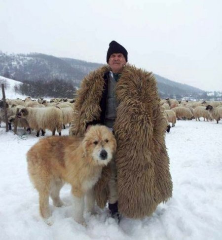 Yüz yaşına merdiven dayadı, çobanlıktan ayrı kalamadı