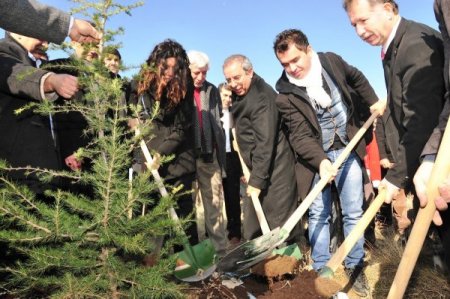 YYÜ'de 30 bin çam fidan toprakla buluştu