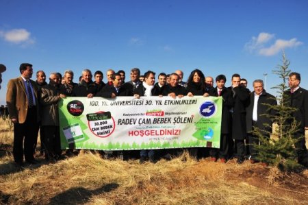 YYÜ'de 30 bin çam fidan toprakla buluştu
