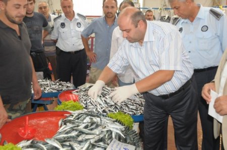 Zabıta balık tezgahlarını denetledi