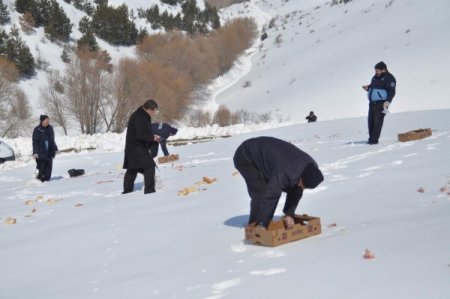 Zabıta Yaban Hayvanları İçin Doğaya Yiyecek Bıraktı