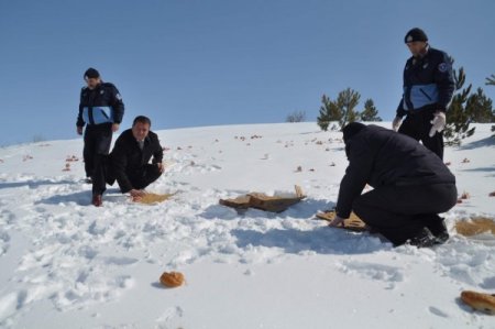 Zabıta Yaban Hayvanları İçin Doğaya Yiyecek Bıraktı