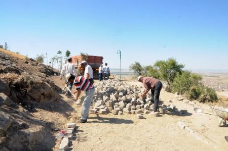 Zafer Ormanı'nda Yollar Doğal Parke Taşı Ve Beton Parke Taşıyla Kaplanacak