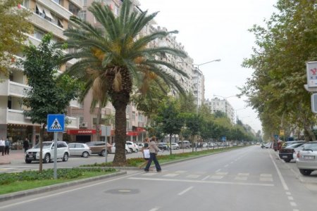 Zaimoğlu'ndan Başkan Aldırmaz'a Ziyapaşa teşekkürü