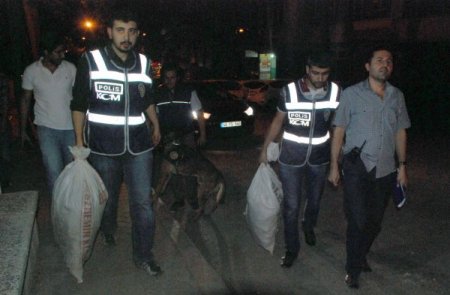 Zehir tacirlerine gece yarısı darbesi