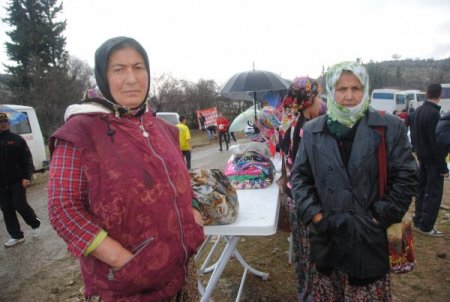 Zerk köyü kadınları, sit yasağının kalkması için imza kampanyası başlattı