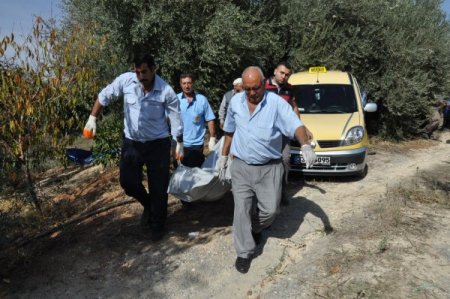 Zeytin ağacından düşen çiftçi hayatını kaybetti