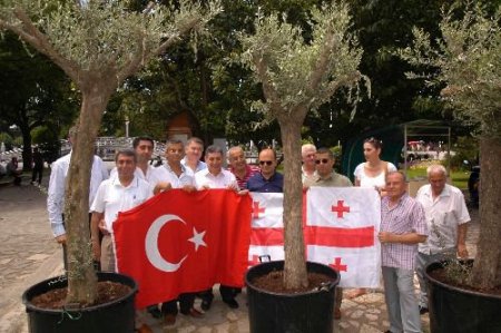 Zeytin Ağaçları Batum-kuşadası Kardeşliği İçin Dikildi