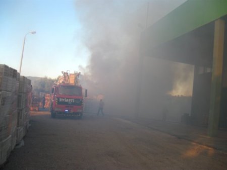 Zeytin fabrikasında yangın: 1 yaralı