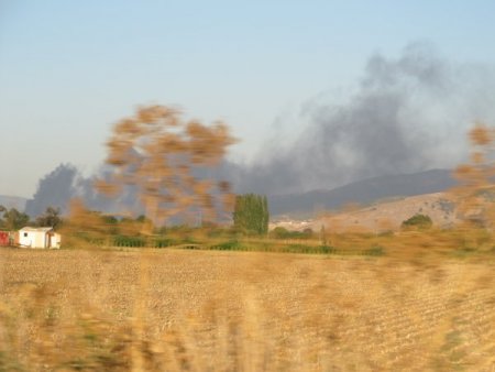 Zeytin fabrikasında yangın: 1 yaralı