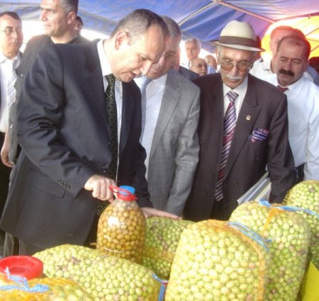 Zeytin Festivali'nde Barış Mesajı
