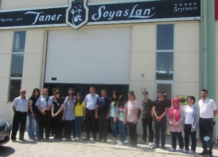 Zeytine dokunmak için Pendik'ten geldiler