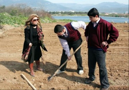 Zeytinli'de 10 Bin Fıstık Çamı Fidanı Dikildi
