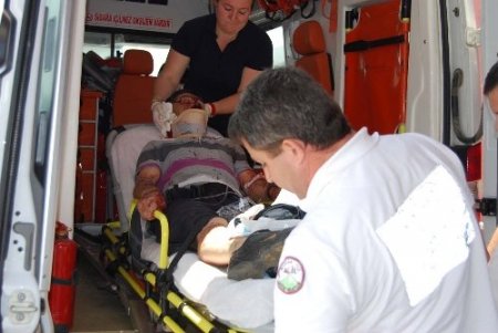 Zeytinliğe uçan otomobilin sürücüsü yaralı kurtuldu