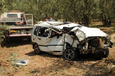 Zeytinliğe uçan otomobilin sürücüsü yaralı kurtuldu