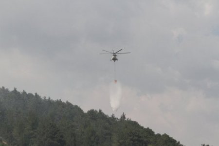 Zeytinlikte temizlik ateşi 25 dönümü tül etti