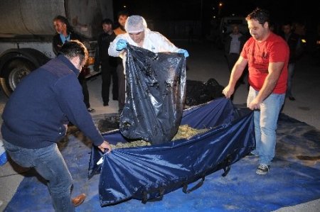 Zift tankerinden esrar çıktı