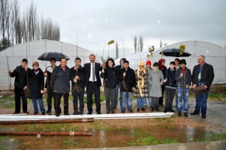 Zihinsel Engelli Çocuklar Serada Ürün Yetiştirip Para Kazanacak
