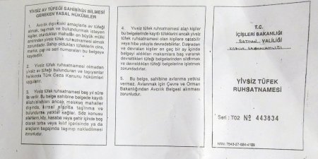 Zihinsel engelli kadına silah ruhsatı iddiası