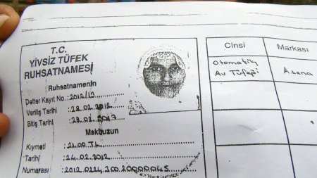 Zihinsel engelli kadına silah ruhsatı iddiası