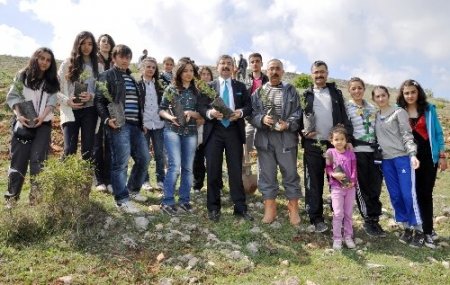 Zile’de 550 fidan toprakla buluştu