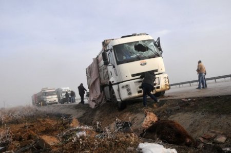 Zincirleme kazada 15 kişi yaralandı, danalar tarlaya saçıldı