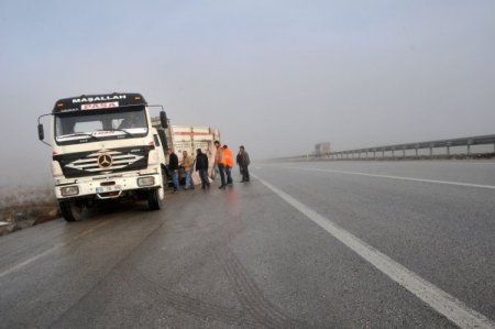 Zincirleme kazada 15 kişi yaralandı, danalar tarlaya saçıldı