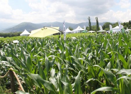 ZMO Başkanı Turhan Tuncer: Dünya tarımda büyük kaos bekliyor